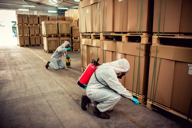 Best Cockroach Control Services  in Scranton, PA