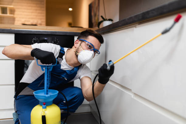 Professional Pest Control in Scranton, PA