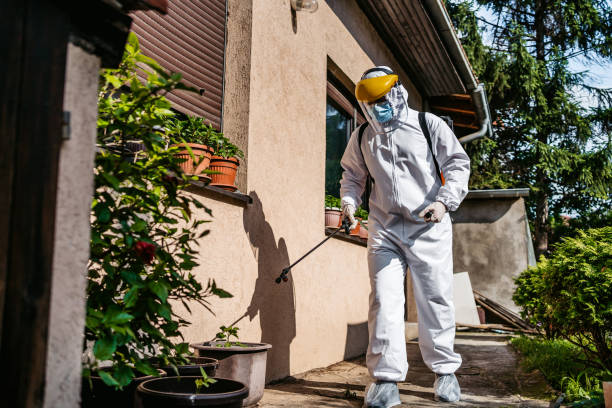Best Affordable Pest Control Services  in Scranton, PA