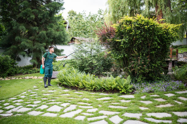 Best Ant Control Services  in Scranton, PA
