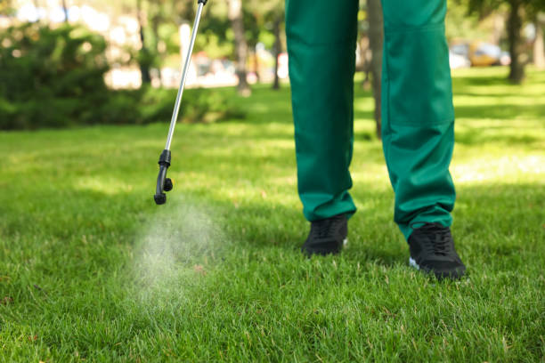 Best Pest Control for Restaurants  in Scranton, PA