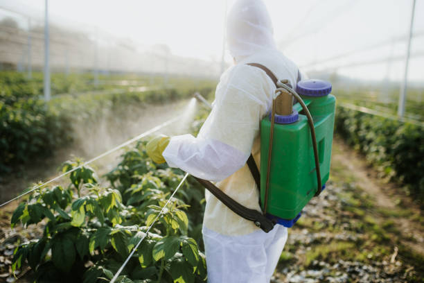 Best Best Pest Control Companies  in Scranton, PA